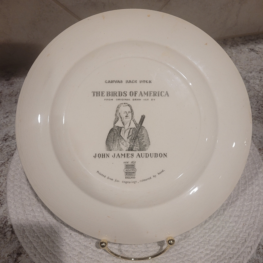 Canvas Back Duck, The Birds Of America, John James Audubon Plate - Picture 3 of 4